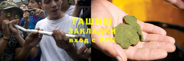 шишки Тихвин