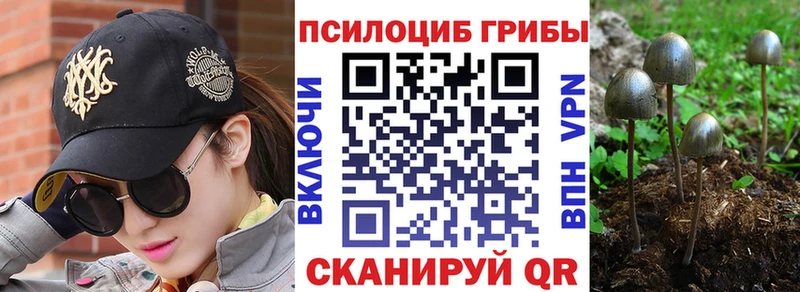 Галлюциногенные грибы MAGIC MUSHROOMS  наркотики  Томилино 